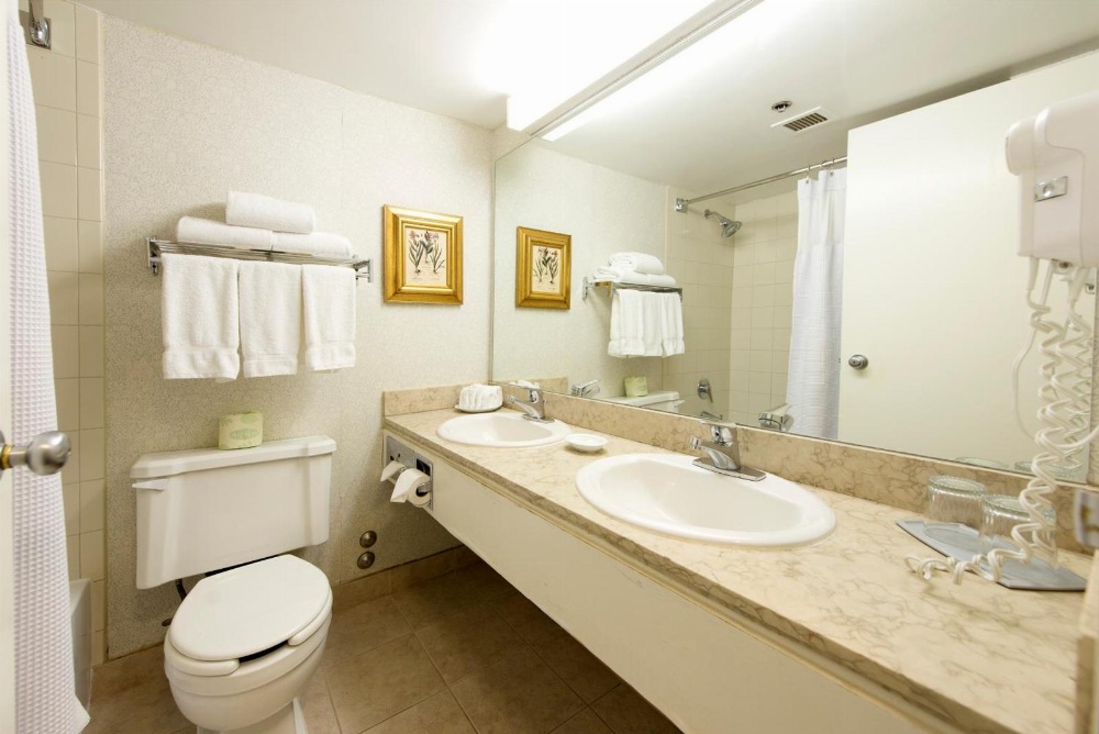 Toronto Don Valley Hotel and Suites